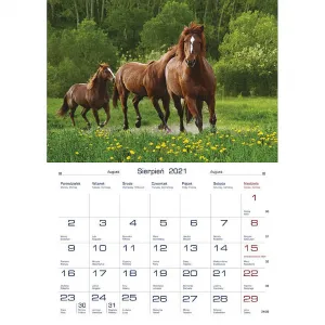 Michalczyk i Prokop nástěnný kalendář 200 mm x 280 mm (TW-10-6)