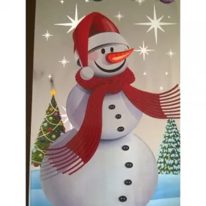 Dárková fólie 200 mm x 350 mm (M)