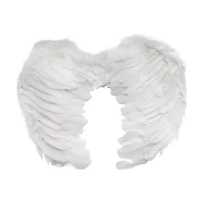 Křídla Arpex (SK5619)