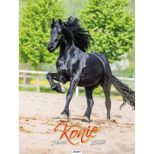 Vícepanelový nástěnný kalendář Avanti 230 mm x 320 mm (5901769620049)
