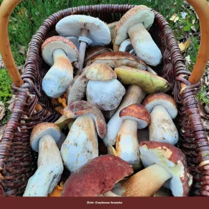 Vícepanelový nástěnný kalendář Avanti 300 mm x 300 mm (5901769621138)