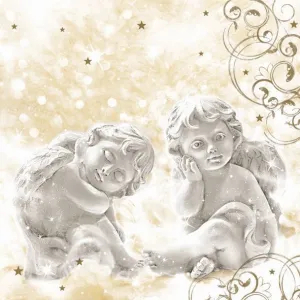 Ubrousky Pol-mak s hvězdičkou - mix 330 mm x 330 mm (Sd GW)