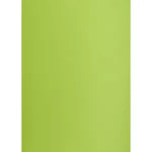 TOP-2000 A1 světle zelená 160g 25k 610mm x 860mm bristol (400149557)