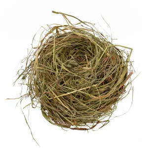 Vánoční seno Arpex (bn7512)