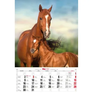 Vícepanelový pruhovaný nástěnný kalendář Avanti 285 mm x 420 mm (5901769620483)