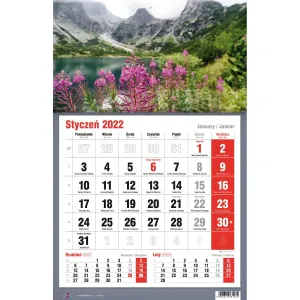 Třístranný nástěnný kalendář Avanti (5901769620582)