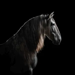 Vícepanelový nástěnný kalendář Avanti 300 mm x 600 mm (KAD-11)