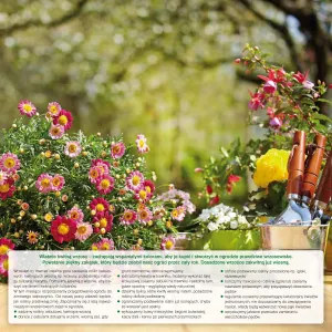 Vícepanelový nástěnný kalendář Avanti 300 mm x 600 mm (5901769620407)