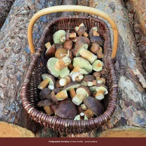 Vícepanelový nástěnný kalendář Avanti 300 mm x 300 mm (5901769621138)