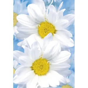 Visačky na dárky, dárky, květiny Pol-Mak 55 x 77 mm mix vzorů