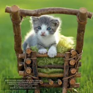 Vícepanelový nástěnný kalendář Avanti 300 mm x 300 mm (KAD-9)