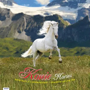 Vícepanelový nástěnný kalendář Avanti 300 mm x 600 mm (KAD-11)