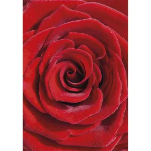 Visačky na dárky, dárky, květiny Pol-Mak 55 x 77 mm mix vzorů