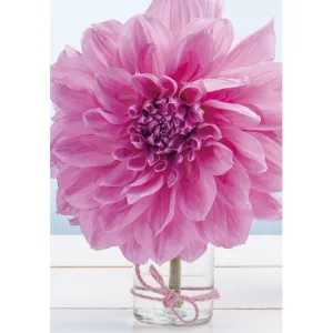 Visačky na dárky, dárky, květiny Pol-Mak 55 x 77 mm mix vzorů