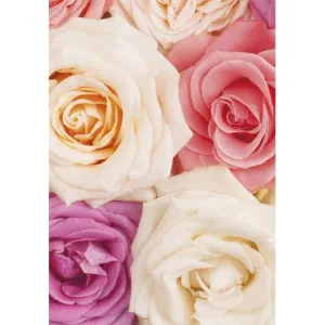 Visačky na dárky, dárky, květiny Pol-Mak 55 x 77 mm mix vzorů