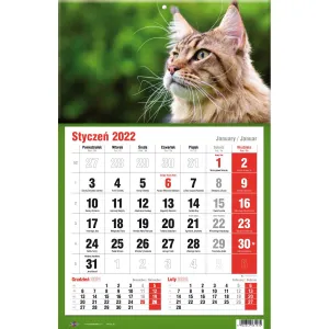 Třístranný nástěnný kalendář Avanti (5901769620582)