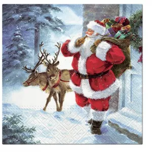 Ubrousky Paw Lunch BN 330 mm (SDL013300)