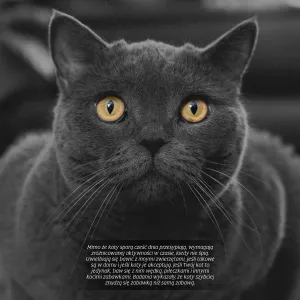 Vícepanelový nástěnný kalendář Avanti 300 mm x 300 mm (KAD-9)