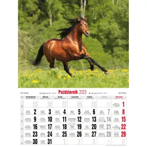 Vícepanelový nástěnný kalendář Avanti 230 mm x 320 mm (5901769620049)