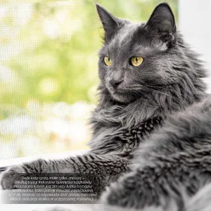 Vícepanelový nástěnný kalendář Avanti 300 mm x 300 mm (KAD-9)