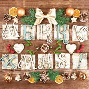 Ubrousky Pol-mak s hvězdičkou - mix 330 mm x 330 mm (Sd GW)