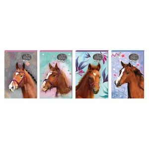 Benjamins Nice&Pretty A6 30k. 102 mm x 148 mm (6094494)