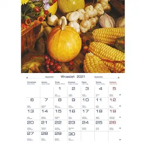 Michalczyk i Prokop nástěnný kalendář 200 mm x 285 mm (TW-10-1)