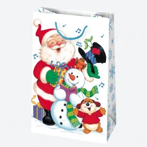 Dárková taška Pol-mak 160 mm x 240 mm x 70 mm (T3)