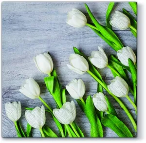 Ubrousky Paw Lunch - mix s potiskem 330 mm x 330 mm (SDL120109)