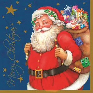 Vánoční ubrousky Pol-mak - mix 330 mm x 330 mm (SL GW)