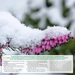 Vícepanelový nástěnný kalendář Avanti 300 mm x 600 mm (5901769620407)