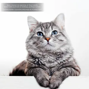 Vícepanelový nástěnný kalendář Avanti 300 mm x 300 mm (KAD-9)