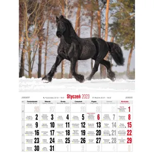 Vícepanelový nástěnný kalendář Avanti 230 mm x 320 mm (5901769620049)