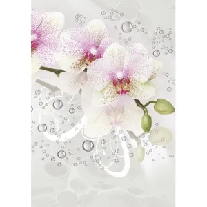 Visačky na dárky, dárky, květiny Pol-Mak 55 x 77 mm mix vzorů