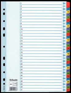 Esselte Mylar kartonový blok A4 mix barev 160g 31k 1-31 (100164)