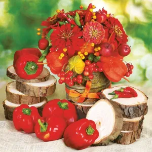 Ubrousky Pol-mak - mix 330 mm x 330 mm (SL og)