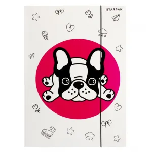 Kartonový pořadač s gumičkou Starpak Minisy A4 barva: mix (491062)