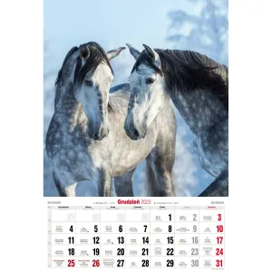 Vícepanelový pruhovaný nástěnný kalendář Avanti 285 mm x 420 mm (5901769620483)