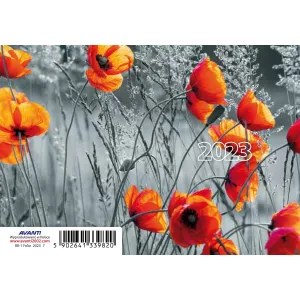 Avanti 70mm x 105mm (5901769620629) knižní kalendář (diář)