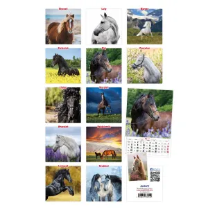 Vícepanelový pruhovaný nástěnný kalendář Avanti 285 mm x 420 mm (5901769620483)