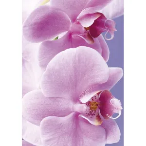 Visačky na dárky, dárky, květiny Pol-Mak 55 x 77 mm mix vzorů