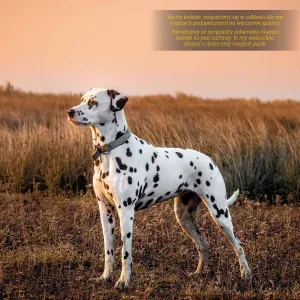 Vícepanelový nástěnný kalendář Avanti 300 mm x 600 mm (KAD-10)