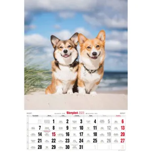 Nástěnný kalendář Avanti s pruhy 285 mm x 410 mm (5901769621107)