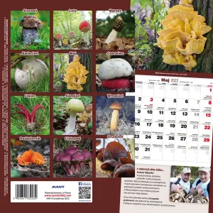 Vícepanelový nástěnný kalendář Avanti 300 mm x 300 mm (5901769621138)