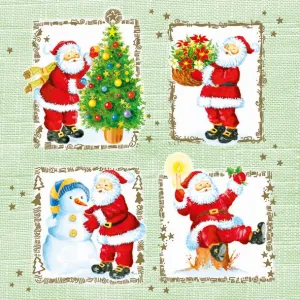 Ubrousky Pol-mak s hvězdičkou - mix 330 mm x 330 mm (Sd GW)