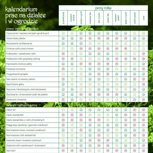 Vícepanelový nástěnný kalendář Avanti 300 mm x 600 mm (5901769620407)