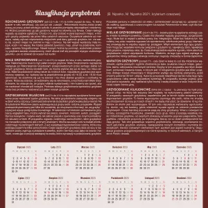 Vícepanelový nástěnný kalendář Avanti 300 mm x 300 mm (5901769621138)