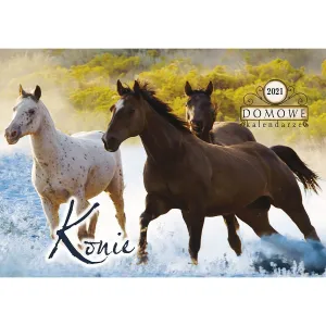 Michalczyk i Prokop nástěnný kalendář 200 mm x 280 mm (TW-10-6)