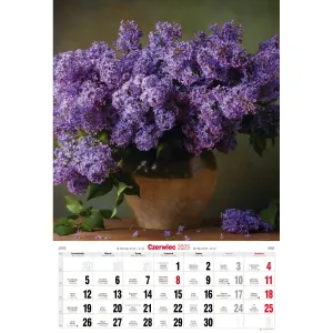 Vícepanelový pruhovaný nástěnný kalendář Avanti 285 mm x 420 mm (5901769620476)