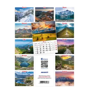 Vícepanelový nástěnný kalendář Avanti 230 mm x 320 mm (5901769620070)